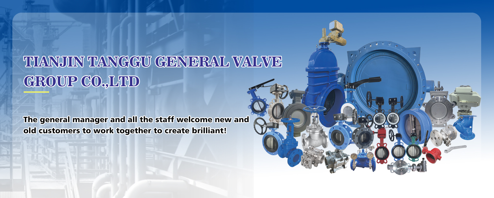 Tianjin LIWEI Valve Co., Ltd.