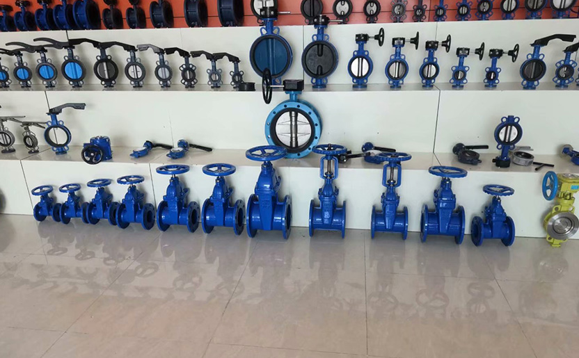 Tianjin LIWEI Valve Co., Ltd.