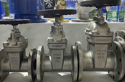 What Are the Many Types of Gate Valves?