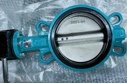 TANGGU GENERAL Company Wafer Butterfly Valve Sample